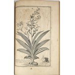 Breyne Jacob - Jacobi Breynii Gedanensis Exoticarum aliarumque Minus Cognitarum Plantarum Centuria Prima, cum Figuris Aenis Summo studio elaboratis. Gedani [Gdańsk] 1678 Typis, symptibus & in aedibus autoris, Imprimebat David-Fridericus Rhetius.
