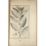Breyne Jacob - Jacobi Breynii Gedanensis Exoticarum aliarumque Minus Cognitarum Plantarum Centuria Prima, cum Figuris Aenis Summo studio elaboratis. Gedani [Gdańsk] 1678 Typis, symptibus & in aedibus autoris, Imprimebat David-Fridericus Rhetius.