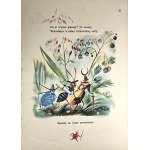 Brzechwa Jan - Za króla Jelonka. Ilustrował J. M. Szancer. Warszawa-Kraków 1950 Wyd. E. Kuthana.