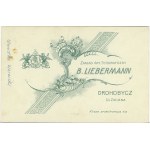 Drohobych, Liebermann B. - Man in Old Polish costume, ca. 1880.