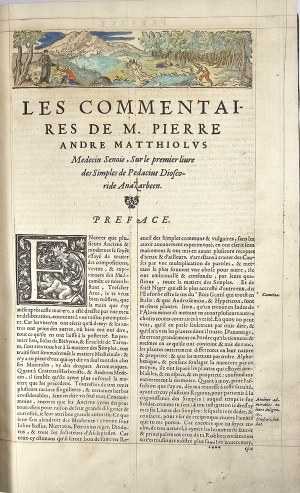 Mattioli Pietro Andre - Les Commentaires de M. Pierre André Matthioli medecin senoys: sur les six livres des simples de Pedacius Dioscoride Anazarbeen [...]. À Lyon 1566 Par la Vefve de Gabriel Cotier.
