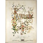 Fajans Maksymilian - Flowers and Poezye. Warsaw 1883 Own circulation ... Second edition multiplied with works by Marya Konopnicka and Adam Plough.