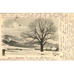 Zakopane - Jasion u Walczaków, ok. 1900.