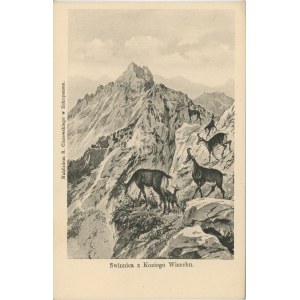 Zakopane, Tatry - Świnnica z Koziego Wierchu, ok. 1900.