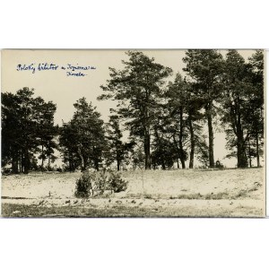 Jeziorno - Legionärsfriedhof, um 1920.