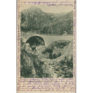 Monts Tatras - Pont aux chutes Mickiewicz, 1902.