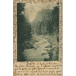 Tatra Mountains - Olczyska Valley, ca. 1900.