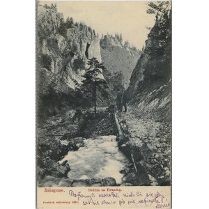 Montagnes des Tatras - Dolina za Bramką, 1904.