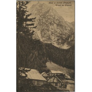 Tatry - Hala w dolnie Strążysk, widok na Giewont, ok. 1910.