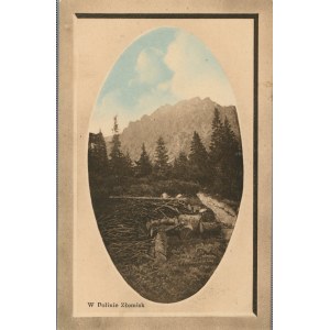 Tatry - W Dolinie Złomisk, ok. 1900.