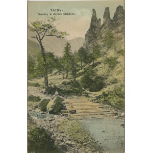 Montagnes des Tatras - Cheminées dans la vallée de Strążysk, 1908.