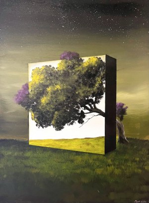 Jean-claude Plewniak 