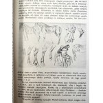 Piotr Michałowski - Rys Życia, Zawód Artystyczny, Działalność w życiu publicznym- Kraków 1911