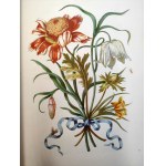 Merian M.S. - Blumenbuch - Atlas of flowers - reprint of the 1680 edition