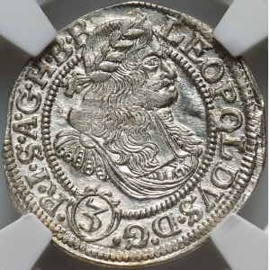 Śląsk pod panowaniem austriackim, Leopold I, 3 krajcary 1673 FIK, Opole