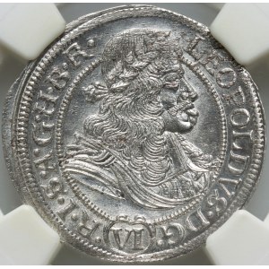 Śląsk pod panowaniem austriackim, Leopold I, 6 krajcarów 1674 SHS, Wrocław