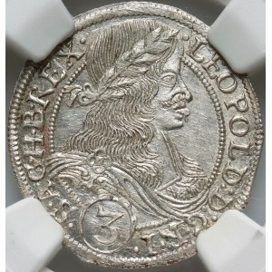 Śląsk pod panowaniem austriackim, Leopold I, 3 krajcary 1665 FBL, Kłodzko