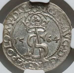Sigismund II Augustus, trojak 1564, Vilnius