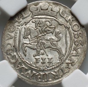 Sigismund II Augustus, trojak 1564, Vilnius