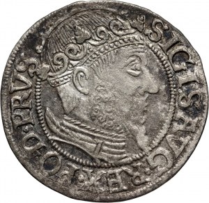 Sigismund II Augustus, penny 1557, Gdańsk