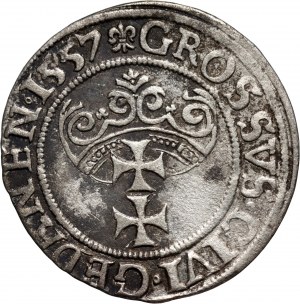 Sigismund II Augustus, penny 1557, Gdańsk