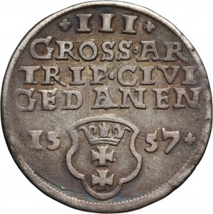 Sigismund II Augustus, trojak 1557, Gdańsk