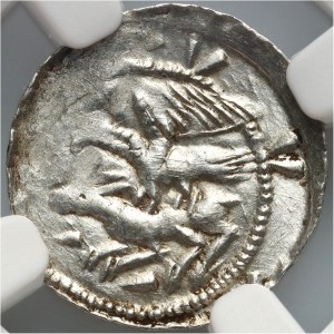 Władysław II Wygnaniec 1138-1146, denar, orzeł i zając