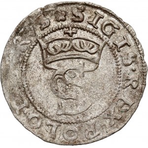 Zygmunt I Stary, szeląg 1528, Toruń