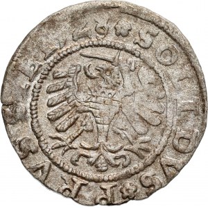 Zygmunt I Stary, szeląg 1528, Toruń
