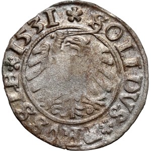 Zygmunt I Stary, szeląg 1531, Toruń