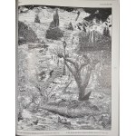 Fejkiel Jan - Polska grafika lat dziewięćdziesiątych. Polish Printmaking of the Nineties. Bielsko-Biała 1996 Wyd. Buffi
