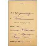 Dekret ustanowienia współopiekunem, Turka, 1924.