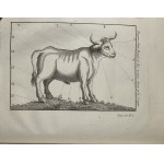 Liger [Louis] - La nouvelle maison rustique, ou Économie rurale, pratique et générale de tous les biens de campagne [...] T. 1-2. A Paris 1790 Chez Savoye.