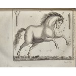 Liger [Louis] - La nouvelle maison rustique, ou Économie rurale, pratique et générale de tous les biens de campagne [...] T. 1-2. A Paris 1790 Chez Savoye.