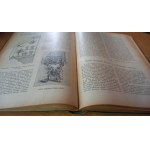 Przegląd Ogrodniczy / rocznik IX / 1926 r. /m.