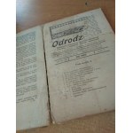 ODRODZENIE miesięcznik 11 numerów EZOTERYKA 1928 r.