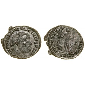 Roman Empire, follis, 313, Heraclea