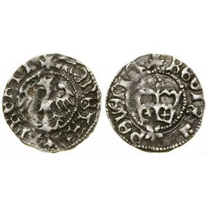 Polska, półgrosz koronny, Kraków