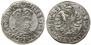 Poland, penny, 1530, Torun