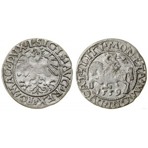 Polska, półgrosz, 1559, Wilno