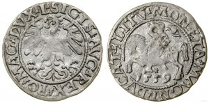 Poland, half-penny, 1559, Vilnius