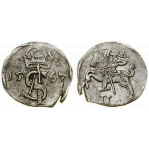 Polska, dwudenar, 1567, Wilno