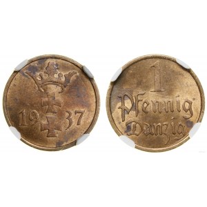 Polska, 1 fenig, 1937, Berlin