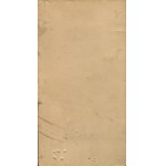 [Cardboard photograph] Male. Atelier Secesya, Podgórze [ca. 1900].