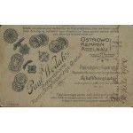 [fotografia tekturkowa] Dwie młode kobiety. Paul Wodak, Ostrowo (Ostrów Wielkopolski) [1905]