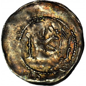 RR-, Henrich II. Pobožný 1238-1241, denár z Głogowa, kabinet