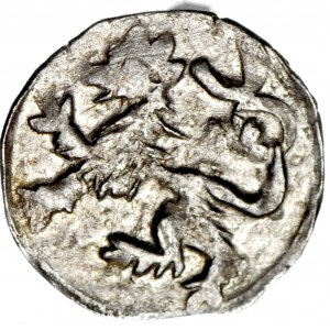 Śląsk, Jerzy z Podiebradu 1454-1462, Halerz bez daty, Lew/Orzeł, menniczy, R5, długie i cienkie pióra orła