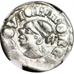R-, Ludwik Węgierski 1370-1382, Denar Saracen, gwiazdki, b. rzadki