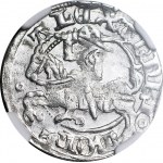 Alexander Jagiellonian, Lithuanian half-penny, Vilnius, Gothic, exquisite
