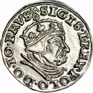 Sigismund I the Old, Trojak 1540 Gdansk, in cap, minted
